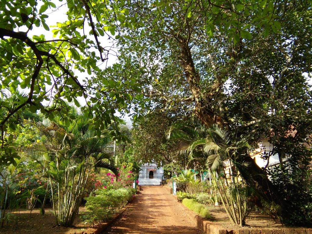 Botanique Goa गेस्ट हाउस